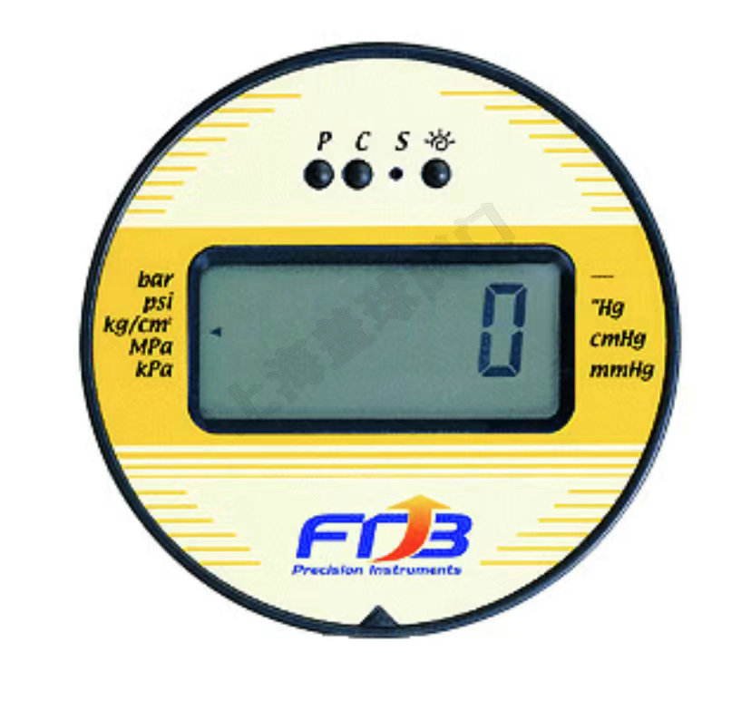 DPG-75埋入式附前法蘭壓力計.jpg