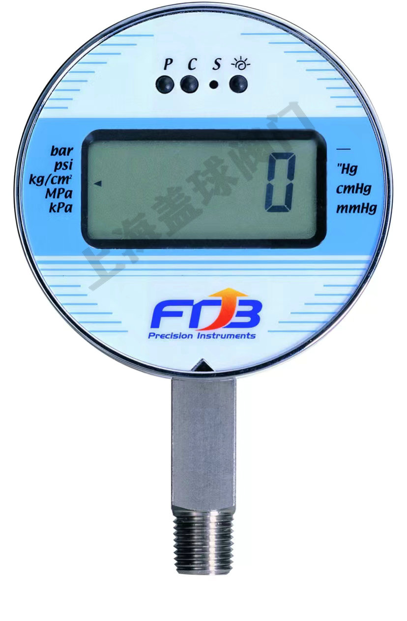 DPG-75LM直立式壓力計(jì)-FTB.jpg