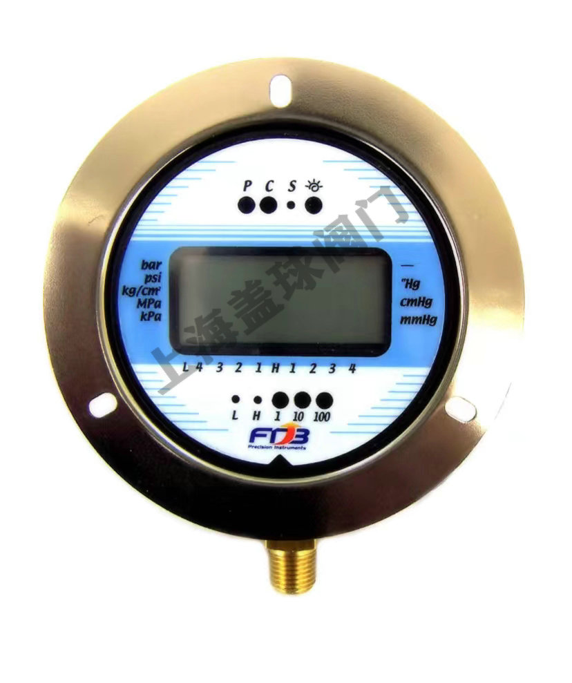 DPG-75外殼附SS304前法蘭壓力計(jì).jpg