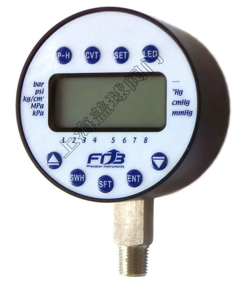 DPS-75II表面數(shù)顯壓力表-FTB.jpg