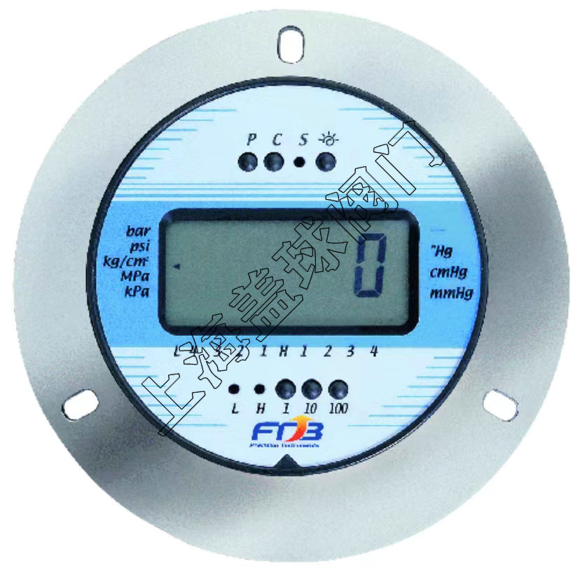 DPS-75LBM埋入式附前法蘭壓力計-FTB.jpg