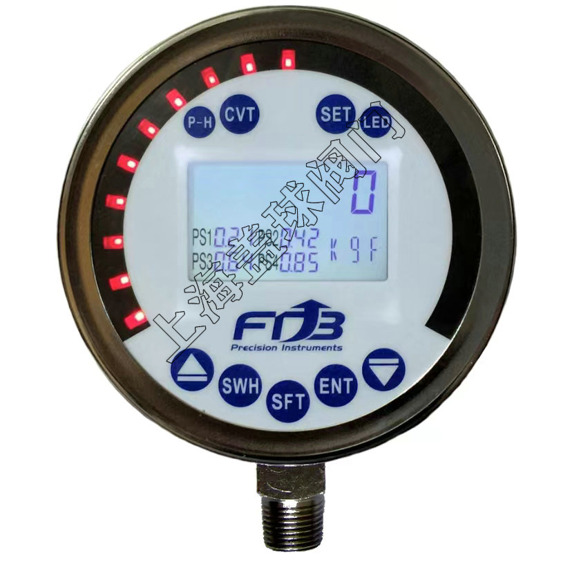 DPG-100LM表面數(shù)顯壓力表-RS-485.jpg