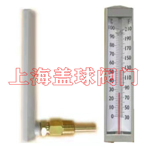 角板型溫度計(jì)-原裝進(jìn)口.jpg