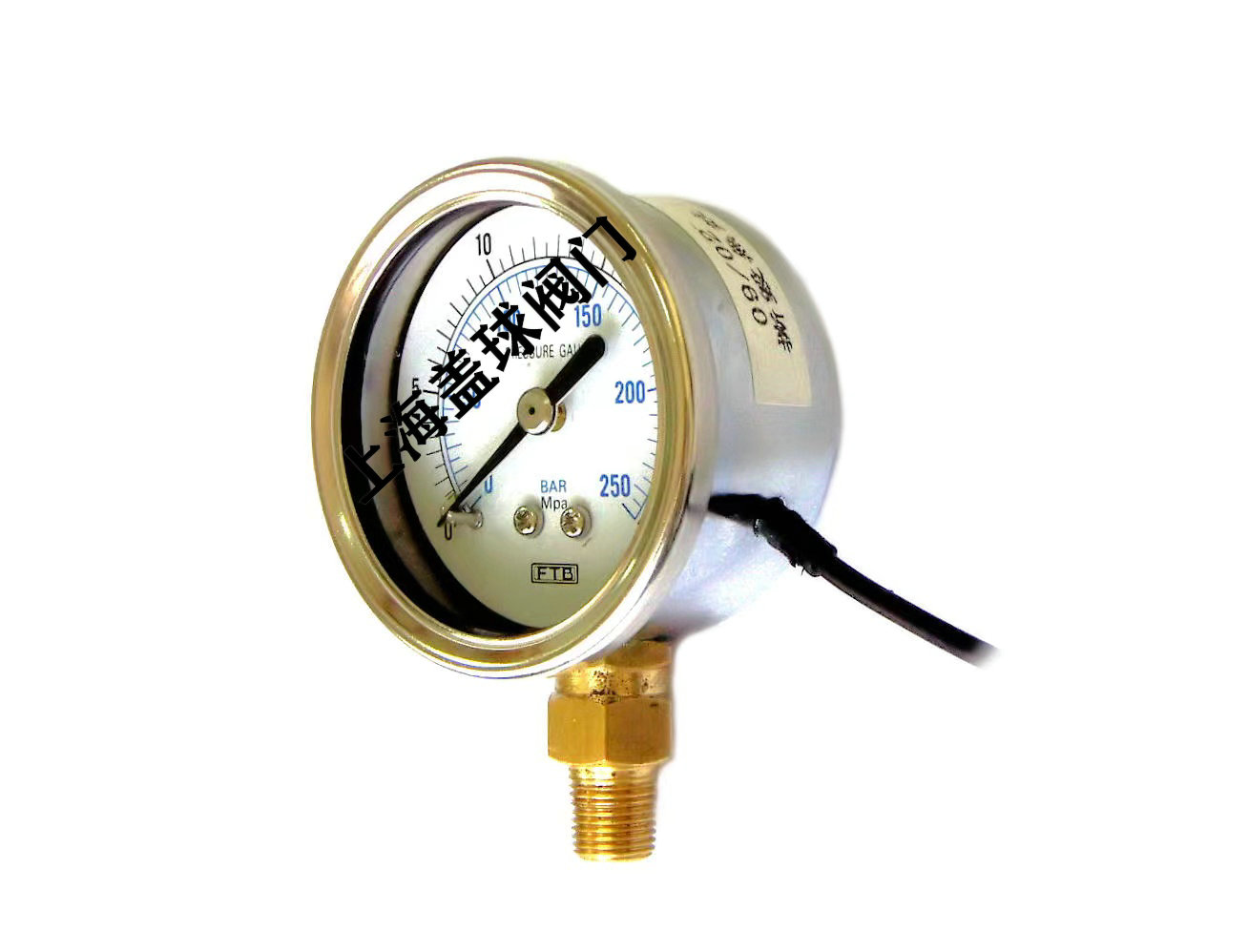 EEPG-50LM非接觸式壓力表-直立式.jpg