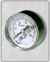 112.51CBM埋入式壓力計(jì)-黑色鍛殼.jpg