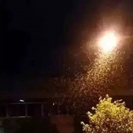 白蟻危害大,4-6月份進(jìn)入其活躍期 防治白蟻不容忽視!